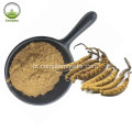 Cordyceps de alta qualidade Sinensis Extract Powder